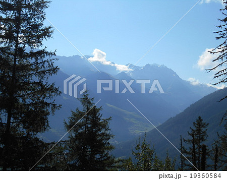 Champex3 Champex3 19360584