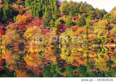 奥多摩湖に反射する紅葉 19360626