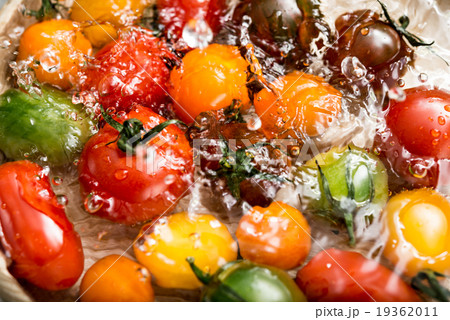 ,ミニトマト,トマト,野菜,実,プチトマト ,ミニトマト,トマト,野菜,実,プチトマト 19362011