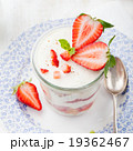 Strawberry tiramisu, trifle, custard dessert 19362467