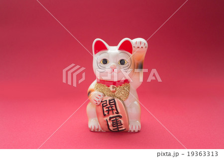 招き猫 開運 19363313