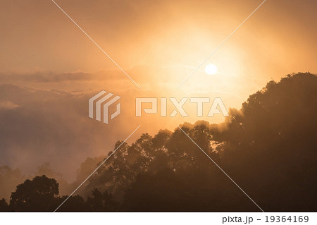 Sunrise with mist 19364169