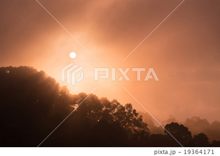 Sunrise with mist 19364171