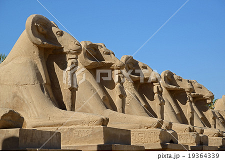 Avenue of sphinxes - Luxor 19364339