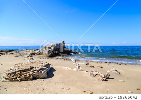 野間崎の海岸 19366042