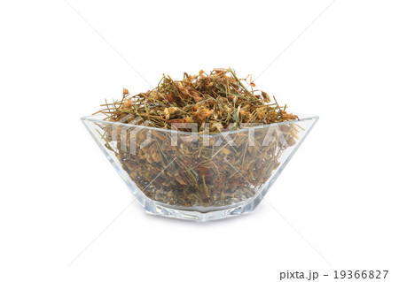 St. John's wort 19366827