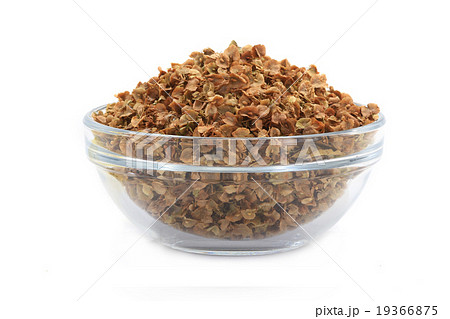sorrel 19366875