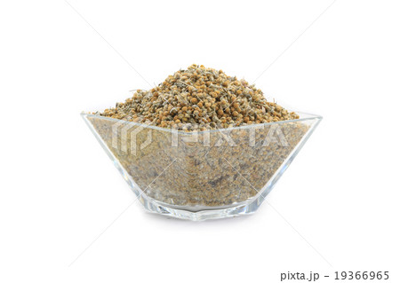 wormwood wormwood 19366965