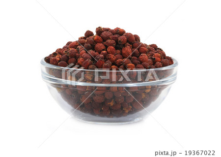 hawthorn berry 19367022
