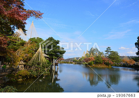 霞ヶ池（兼六園／石川県金沢市） 19367663