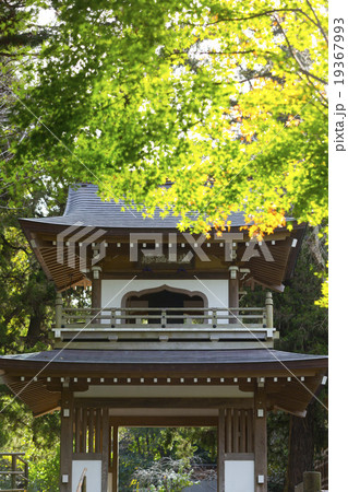 鎌倉浄智寺 19367993