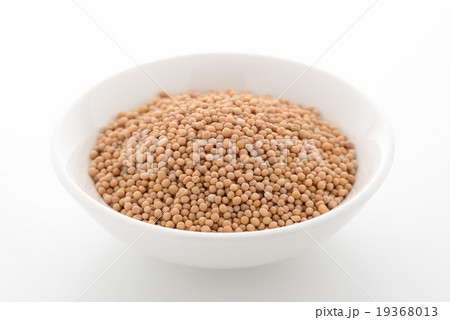 マスタードシード 19368013