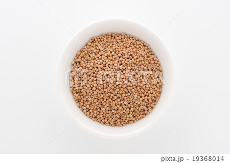 マスタードシード 19368014