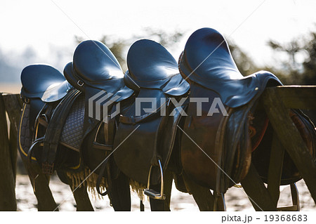 Leather saddle horse Leather saddle horse 19368683