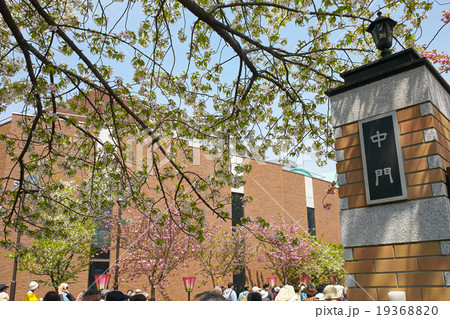 花見客で混雑する大阪造幣局の通り抜け、中門付近 19368820