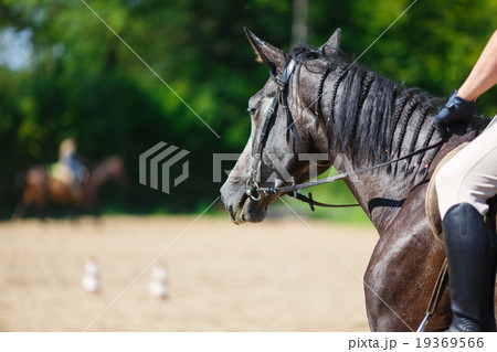 Rider on a horse 19369566