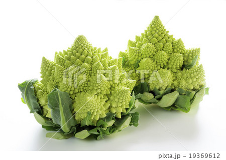 ロマネスコ ロマネスコ 19369612