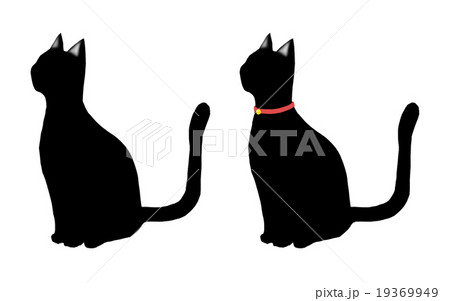黒い猫 19369949