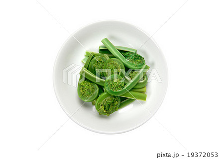 こごみのお浸し 19372053