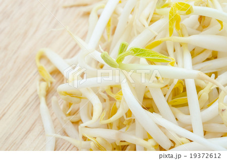 Mungbean Sprouts. 19372612