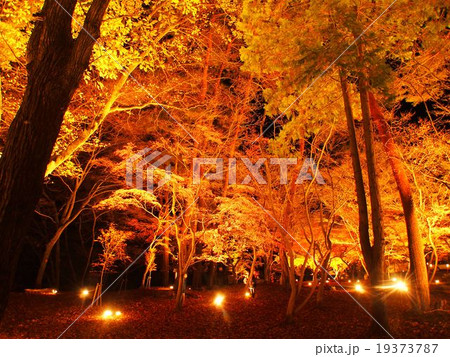 長瀞紅葉まつり 長瀞紅葉まつり 19373787