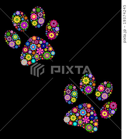 animal paw 19374245