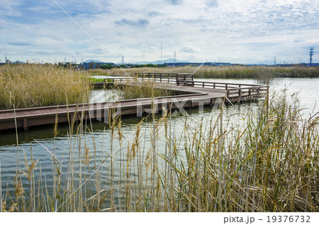 響灘ビオトープ観察デッキ 響灘ビオトープ観察デッキ 19376732