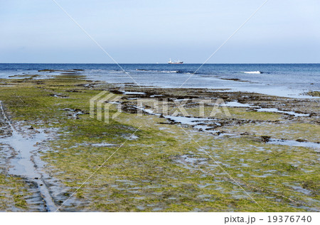 若松北海岸千畳敷 19376740