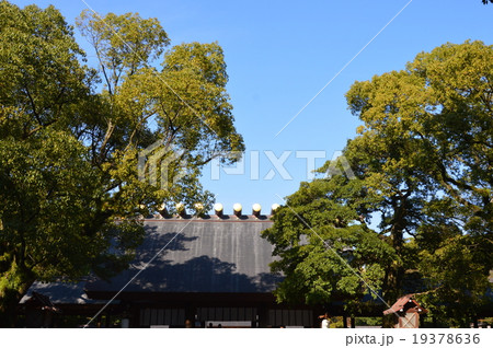 熱田神宮･本殿（愛知県名古屋市熱田区） 19378636