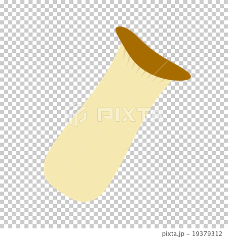 エリンギ エリンギ 19379312