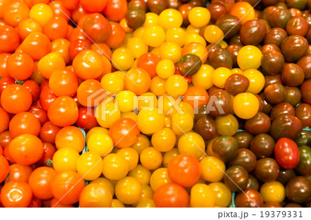 フルーツトマト フルーツトマト 19379331