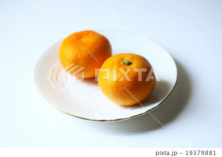 夏の食材　温州みかん 19379881