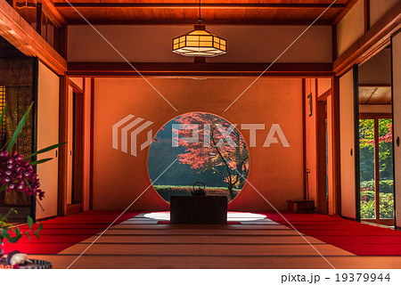 鎌倉 明月院 鎌倉 明月院 19379944