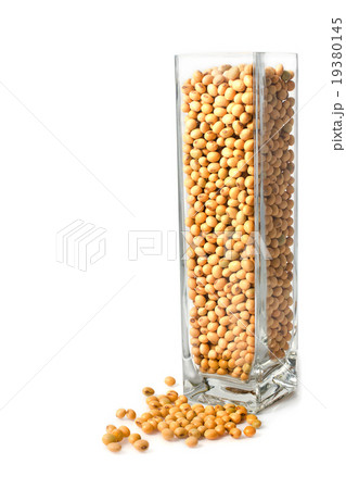 soybean in glass box soybean in glass box 19380145