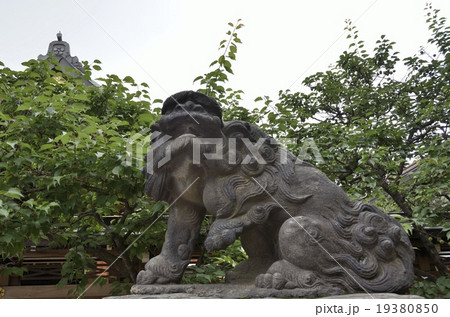 湯島天満宮の狛犬・阿形 19380850