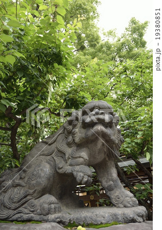 湯島天満宮の狛犬・吽形 19380851