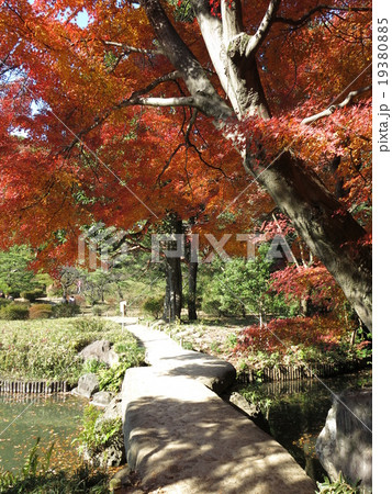 紅葉が美しい秋の六義園(渡月橋) 紅葉が美しい秋の六義園(渡月橋) 19380885