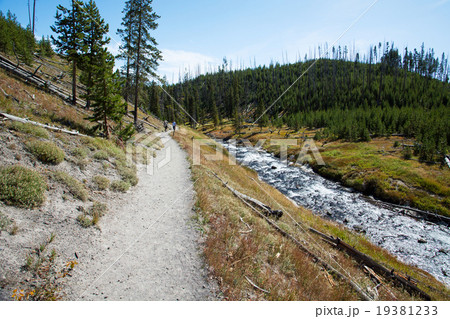 トレッキングロード トレイル イエローストーン国立公園 トレッキングロード トレイル イエローストーン国立公園 19381233