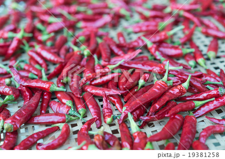 赤唐辛子 19381258