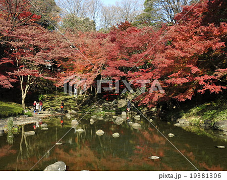 紅葉が美しい秋の小石川後楽園 大堰川 の写真素材