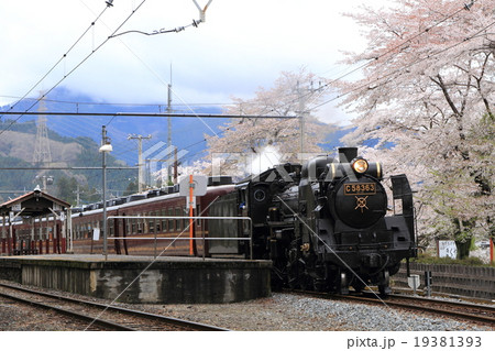 秩父鉄道「桜咲く春の武州日野駅とSLパレオエクスプレス号」 19381393