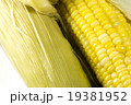 Bright yellow sweet corn edible 19381952