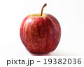 Fresh red apple selected for you 19382036