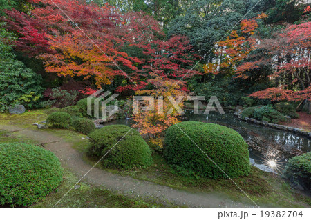 秋の隨心院門跡 秋の隨心院門跡 19382704
