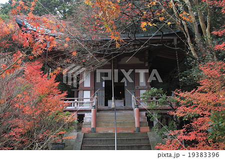 秋の京都山科・毘沙門堂門跡 秋の京都山科・毘沙門堂門跡 19383396