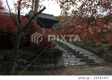 秋の京都山科・毘沙門堂門跡 秋の京都山科・毘沙門堂門跡 19383407