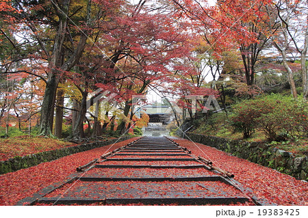 秋の京都山科・毘沙門堂門跡 秋の京都山科・毘沙門堂門跡 19383425