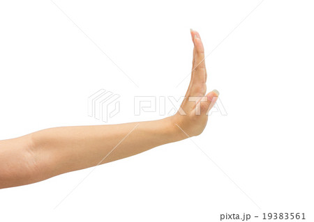 female hand on the isolated on white background female hand on the isolated on white background 19383561