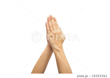 female hand on the isolated on white background female hand on the isolated on white background 19383562