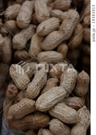 peanut peanut 19383913